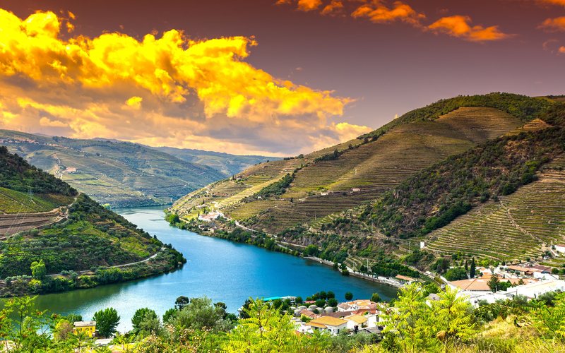 Imagem Novo Guia de Vinhos ADEGA Portugal bate recordes com 800 rótulos avaliados