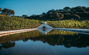 A transformação da Herdade da Aldeia de Cima pela Família Amorim