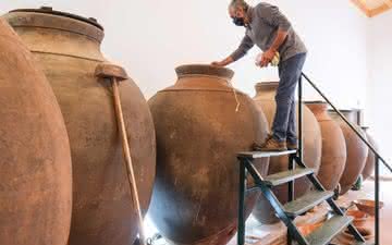 Amphora Wine Day: Portugal se prepara para a grande abertura de suas talhas 