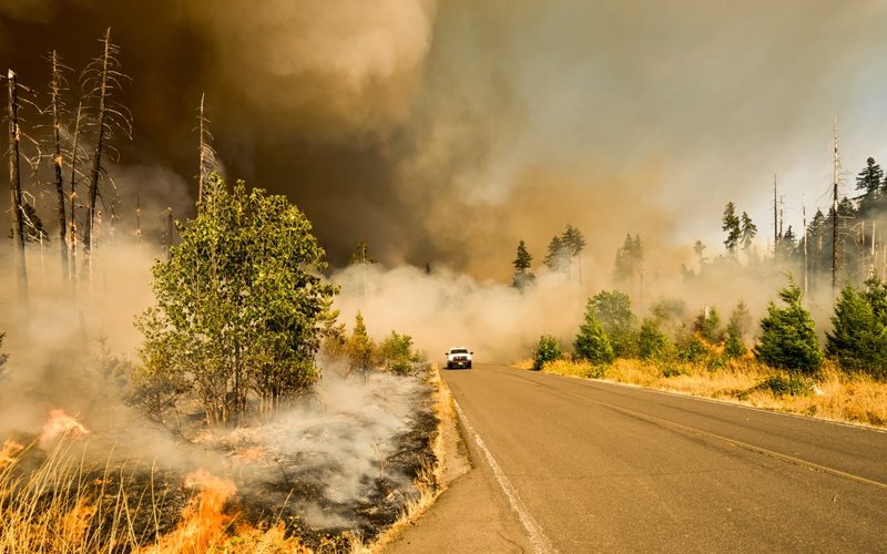 Incêndios florestais crescem conforme as mudanças climáticas atingem o planeta todo