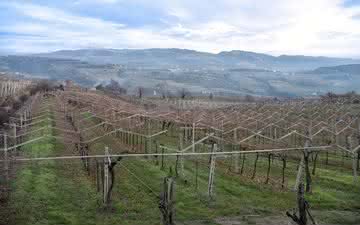 Conheça o blend do italiano Amarone della Valpolicella