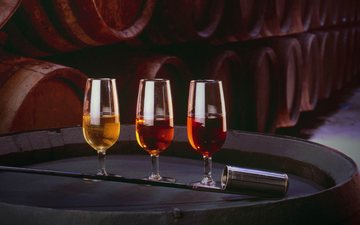 Imagem Descubra o significado do termo 'en rama Sherry' nos vinhos espanhóis