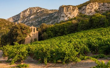 Imagem Languedoc-Roussillon: vinhos excepcionais a preços acessíveis no sul da França!