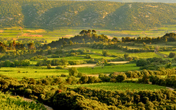 Languedoc-Roussillon