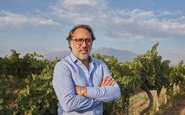 Marcelo Papa detalhou as mudanças específicas na produção do Amelia Pinot Noir