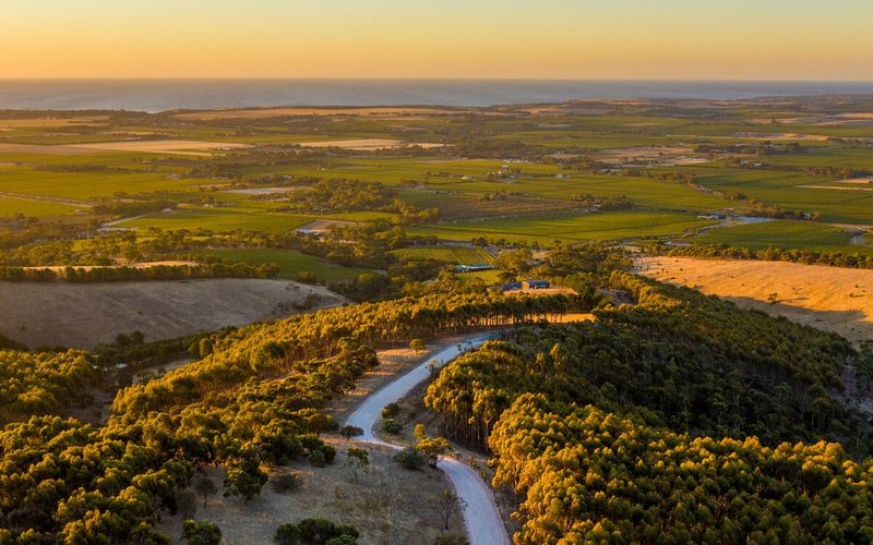 Imagem Conheça a região vitivinícola de McLaren Vale