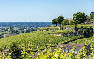 As atuais denominações locais são Médoc, Haut-Médoc e Listrac, e suas sub-regiões são Margaux, Saint-Estèphe, Saint-Julien, Pauillac, Listrac, Moulis e Bordeaux Supèrieur