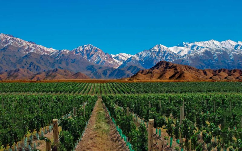 A Cordilheira dos Andes tem papel essencial na viticultura de Mendoza