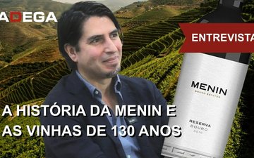 thumb do video menin e as vinhas de 130 anos