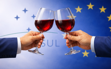VÍDEO! Mercosul e Comunidade Europeia: O que muda para o vinho?