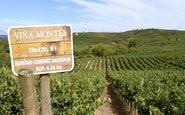 Viña Montes, umas mais conceituadas vinícolas chilenas