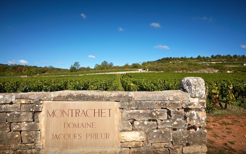 Imagem Montrachet: o mais famoso vinho branco da Borgonha