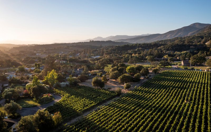 O Napa Valley é uma das principais regiões produtoras de vinho dos EUA - Napa Valley Vintners