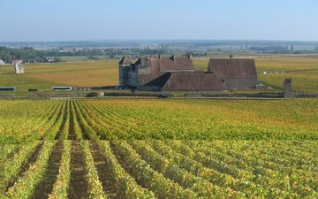 Domaine Comte Georges de Vogüé