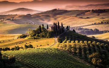 Na Toscana está a região de Brunello di Montalcino, um dos grandes terroirs do mundo do vinho
