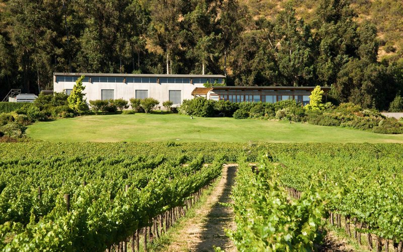 A vinícola também possui inúmeros vinhedos de Carignan e Malbec de vinhas velhas em Curicó e no Valle del Maule