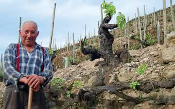 Imagem Os encantos dos vinhos da Galícia