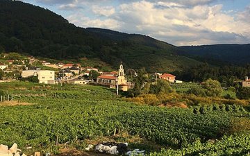 De Rías Baixas até Valdeorras, a paisagem é de montanhas, dias nublados, colinas com inclinações impossíveis