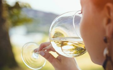 Papelão, vinagre ou suor? Conheça e aprenda a identificar os defeitos do vinho estragado