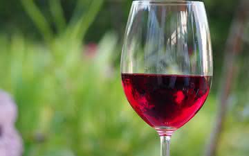 Novo dispositivo mostra que Pinot Noir é a casta mais benéfica à saúde