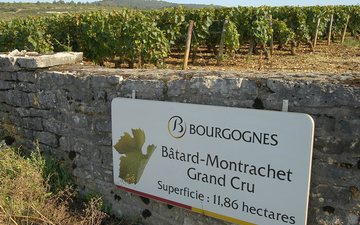 Placas da Borgonha terão valores iniciais entre 50 e 500 euros - Conselho de Vinhos da Borgonha