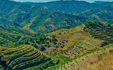 O código que revela a hierarquia dos grandes vinhos do Priorat
