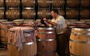 Qual a diferença entre fermentar e envelhecer o vinho em barricas de carvalho?
