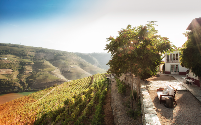Imagem Conheça os vinhos do Douro além do Porto