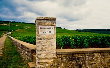 O vinhedo Romanée-Conti, monopólio da Domaine de la Romanée-Conti (DRC)