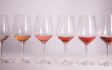 Melhores vinhos rosés de Portugal: a sedução das cores