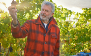 twopaddocks.com