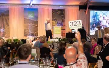 Leilão em Sonoma bate valor recorde