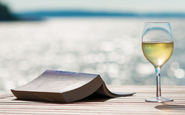 Uma das boas harmonizações: vinho e literatura