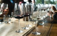Qual o melhor material e o que essa escolha impacta no vinho?