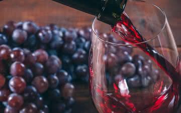 Vinho e Covid\u002D19: como os taninos combatem o coronavírus