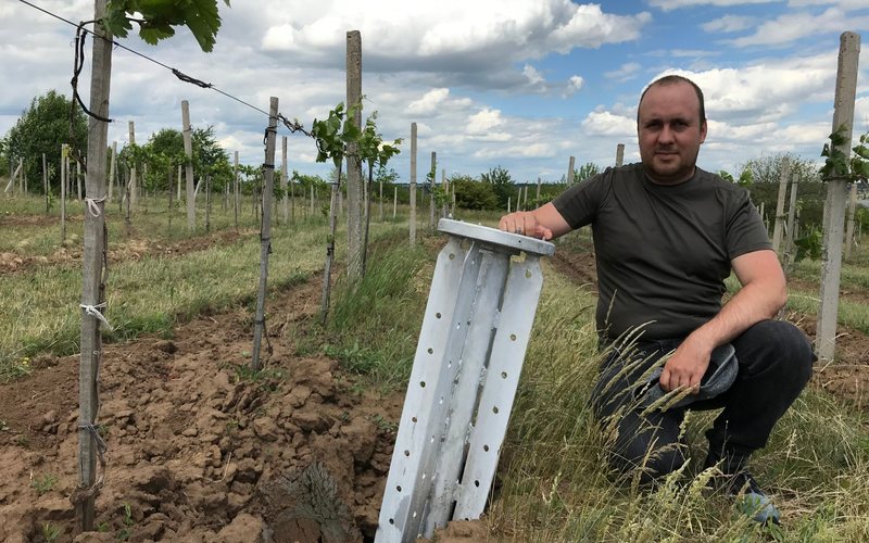 Imagem Cultivo de videiras continua em meio à guerra na Ucrânia