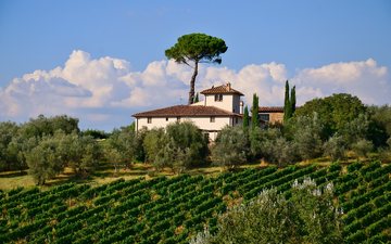 A Toscana é super! Encontre o melhor vinho dessa amada região da Itália