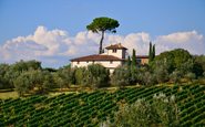 Villa, olivais e vinhedos na Toscana - (c)Pixabay