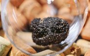 O que são as trufas negras e como são cultivadas?