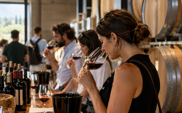 turistas degustando vinho