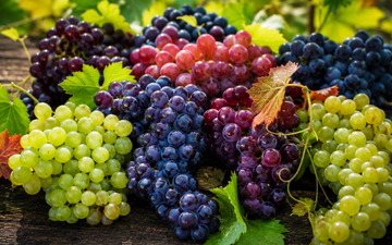 Uvas e nomes diferentes