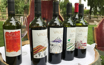 Imagem Vaglio Wines, vinho que vem de berço