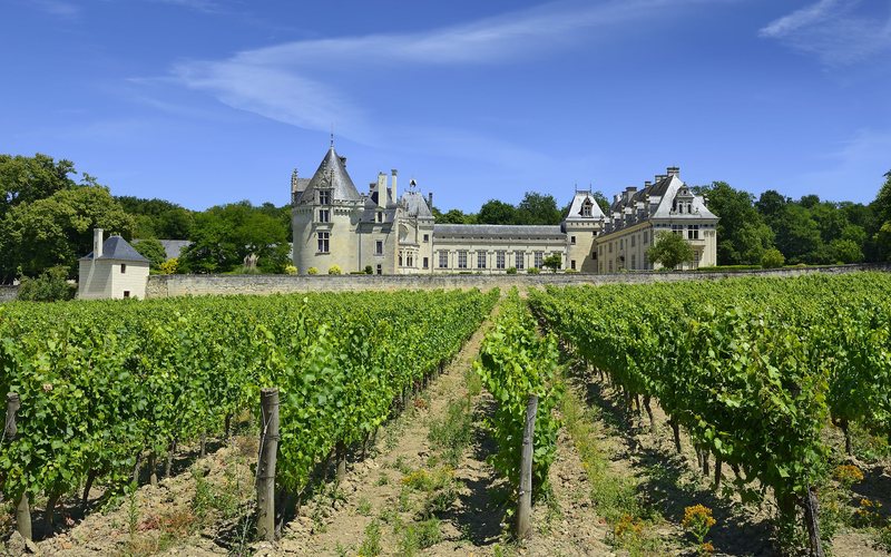 O Vale do Loire tem diversos castelos, pois era o destino de reis e rainhas, especialmente no verão francês - Divulgação