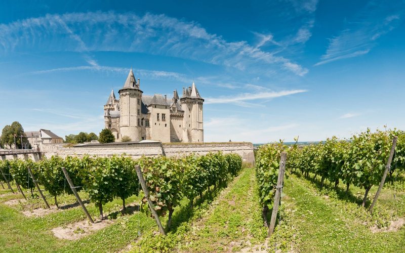 Entre castelos deslumbrantes e paisagens idílicas, seus vinhos leves e elegantes conquistam paladares ao redor do mundo