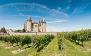 Entre castelos deslumbrantes e paisagens idílicas, seus vinhos leves e elegantes conquistam paladares ao redor do mundo