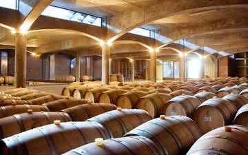 Confira avaliação de vinhos do Vale do Uco