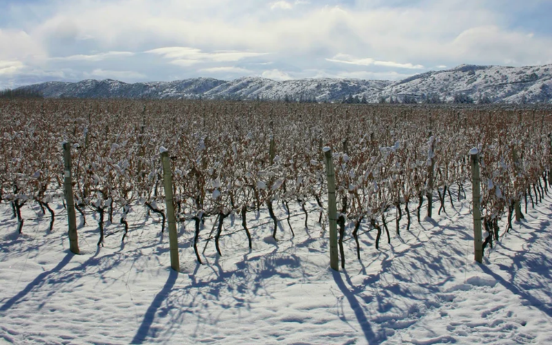 No Vale do Uco, a altitude  comprime a geografia: em poucos  quilômetros é possível passar de um clima similar à Toscana para outro próximo ao de Champagne