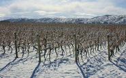 No Vale do Uco, a altitude  comprime a geografia: em poucos  quilômetros é possível passar de um clima similar à Toscana para outro próximo ao de Champagne