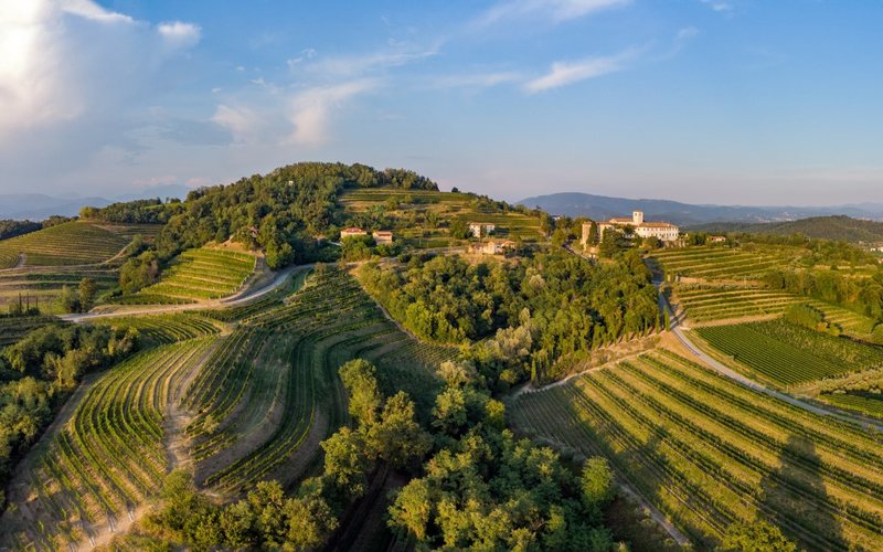 Imagem Produção italiana de vinhos cresce 6,1% em 2022