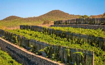 Vertical de vinhos Ben Ryé da Ilha de Pantelleria